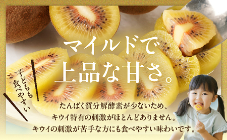 【先行受付】さぬきエンジェルスイート 約1.2kg【香川県共通返礼品】|さぬき エンジェルスイート 果物 フルーツ 小玉 人気 香川 香川県 三木町 厳選 追熟 ジューシー 糖度が高い 先行受付 先行予約 季節限定 旬 おすすめ |_mk006-072