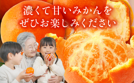 【先行受付】ハウスさぬき紅みかん 約2kg 18-30玉 (化粧箱入り)【香川県共通返礼品】|さぬき さぬき紅みかん 紅みかん 小原早生 小原早生みかん 最上階級 化粧箱 贈り物 贈りもの ギフト 厳選 果物 フルーツ 人気 香川 香川県 三木町 ハウス栽培 ジューシー 糖度が高い 先行受付 先行予約 季節限定 旬 おすすめ |_mk006-082