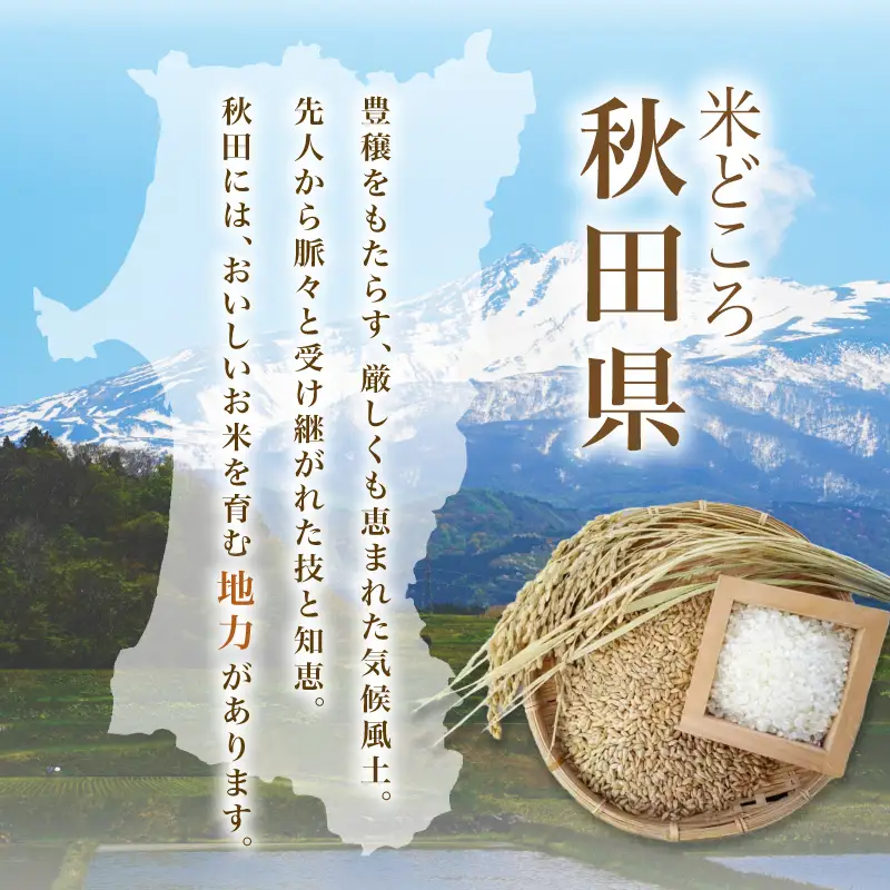 【新米先行予約】【2026年10月以降順次発送予定】《定期便6ヵ月》ひとめぼれ 令和8年度産 精米5kg【精米 白米 米 コメ お米 おこめ ブランド米 ご飯 ごはん 秋田 にかほ】