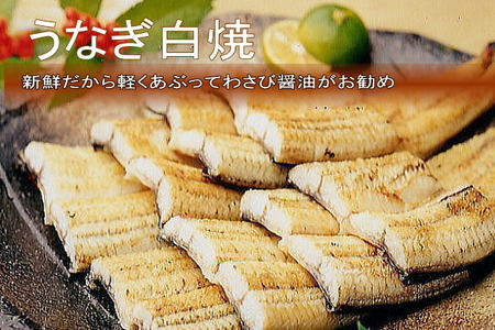 国産うなぎ白焼　10尾（約130g×10尾）セット　タレ・山椒付き　うなぎのあいかね　鰻　白焼き　土用の丑の日　贈答　レンチン　浜名湖　冷凍　静岡　浜松市　【配送不可：離島】