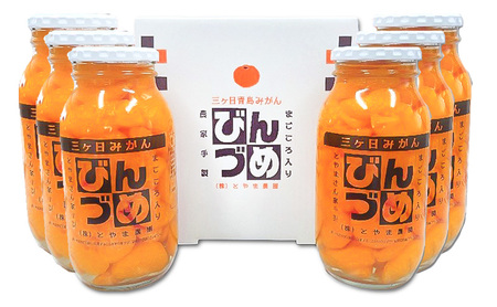 とやま農園　三ヶ日みかんのびん詰め6本セット（900g×6本）静岡　浜松市