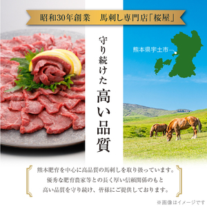 桜屋 赤身馬刺し約500g(専用醤油150ml×1本付) _U01-1329