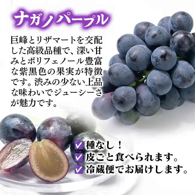 【先行予約】シャインマスカット・ナガノパープル 食べ比べセット 計1.7kg以上 宮崎県西都市産ぶどう 2026年発送＜66-1a＞