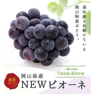 【定期便全3回】もも ぶどう 晴れの国岡山フルーツ定期便（７月・８月・９月お届け）岡田青果