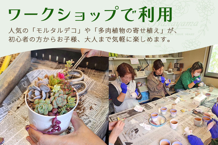 中山園芸 商品券 30,000円分（15,000円分×2枚） A07-026