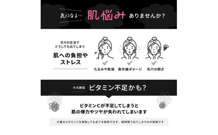 VC リポソーム プラス 1000mg 60粒 プランラボ2個セット｜ビタミンC サプリ 高吸収 持続型 VC 2ヶ月分 frimer フィーミィ [2463c1]
