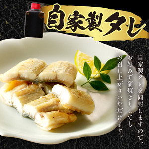うなぎ【土用の丑の日までに届く！】うなぎ 塩焼き2～3人前(1尾) "新月の塩"使用 