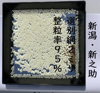【令和7年産】【真空パック】整粒率95％の1等米！！ 阿賀野市産「新之助」無洗米 5kg 中島農場 精米 新潟県 最高品質米 米 こめ コメ お米 ごはん ご飯 農家直送 長期保存 保存食 災害用備蓄米 3R01021