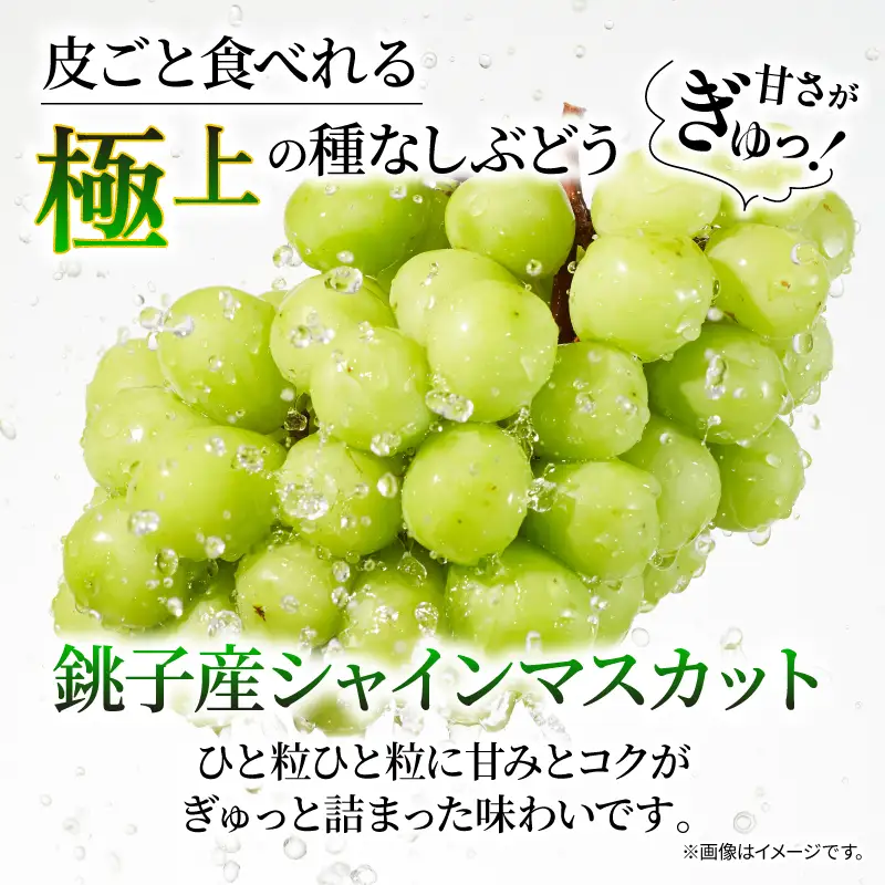 訳あり シャインマスカット × マスカサーティーン （ 種なし ） 1房 450g 以上 