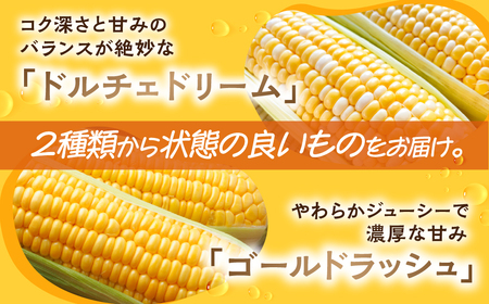 ＜先行予約＞ 朝採り当日発送！ 訳あり とうもろこし イエロー系 6本～9本 イエロー バイカラー ゴールドラッシュ ドルチェドリーム 冷蔵 糖度 甘い 田原市 トウモロコシ コーン おやつ スイーツ コーンスープ 事前予約 夏 初夏 野菜