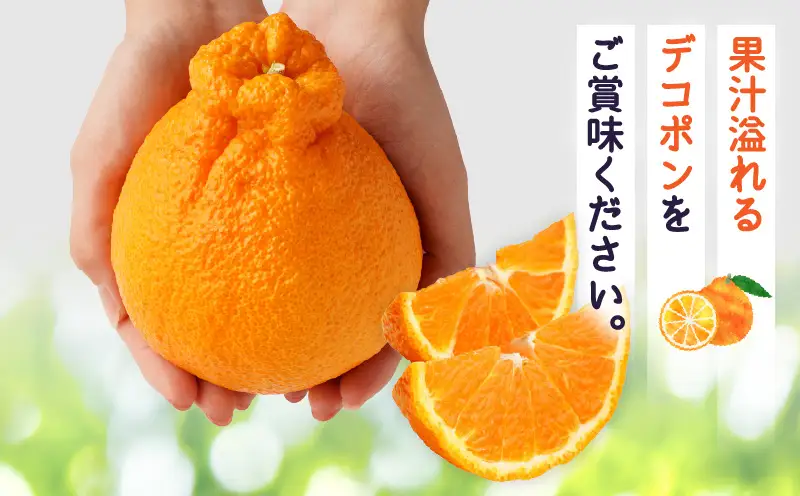 【先行予約】【期間限定！】甘みと酸味の共演・濃厚「デコポン」約5kg【香川県共通返礼品】 | デコポン 甘い 酸味 柑橘 柑橘系 果物 フルーツ 青果 デザート グルメ おすすめ 贈答 贈り物 贈答用 ギフト プレゼント 特産品 特産 取り寄せ 香川県 三木町 |_mk006-090