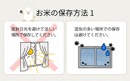 兵庫県産コノホシ (4kg) 米 / 米
