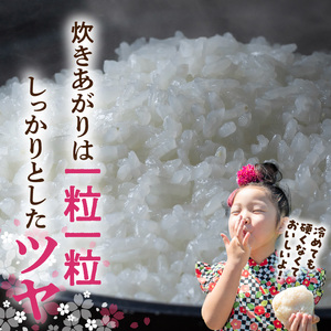 BB6233_和歌山県産キヌヒカリ 5kg（2025年産）