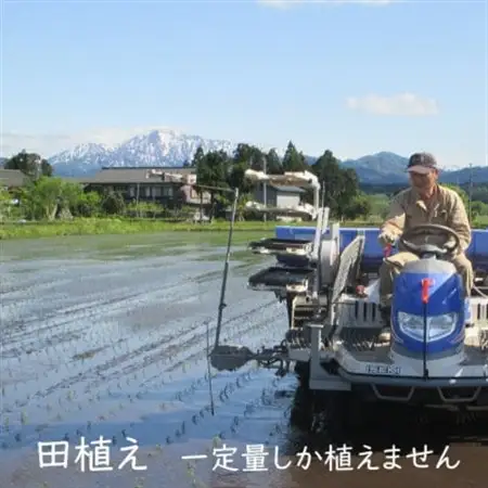 【毎月定期便】[極上]安心こだわり米 岩船産コシヒカリ 玄米6kg(3kg×2袋)[百姓屋]全3回【4084283】