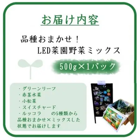 品種おまかせ!LED菜園野菜ミックス 500g×1パック【配送不可地域：離島・北海道・沖縄県・中国・四国・九州】【1668702】