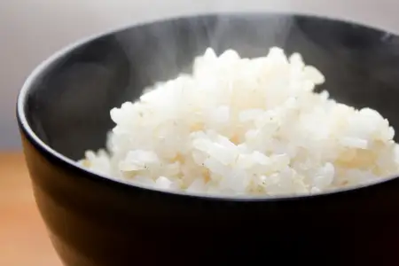 【数量限定】原田農園のこだわり精米 5kg ～関金の清流で育てた自慢のお米～