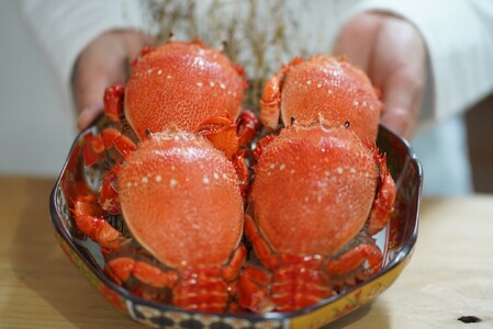 【6回 定期便 活冷凍 アサヒガニ 約２㎏ 】 アサヒガニ あさひがに 朝日蟹 蟹 かに カニ 活冷凍 活き 生 姿 冷凍 セット 詰め合わせ パスタ 味噌汁 焼ガニ 魚介類 海鮮 海の幸 産地直送 産直 旬 晩御飯 夕食 おかず 酒の肴 おつまみ 贅沢 自宅用 家庭用 お取り寄せ 美阿丸 高知県 室戸市