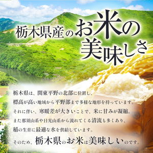 栃木県産 ブレンド米（20kg）【栃木県共通返礼品】AB | 栃木県 下野市