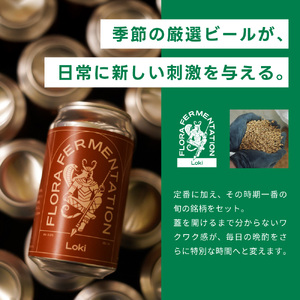 東近江のクラフトビールセット こいずみ酒店 滋賀県 東近江市 B-I04 クラフトビール 地ビール 飲み比べ 10本 缶 セット ペールエール 滋賀 ご当地 お酒 詰め合わせ ギフト