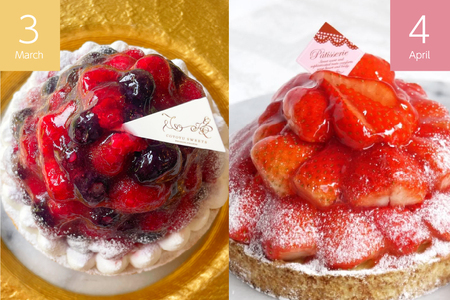 ケーキ タルト 1ホール 12cm 12種 食べ比べ 各回1ホール 12回 定期便 総計12ホール [心優-Cotoyu sweets- 長崎県 平戸市 hr42bjo490220]