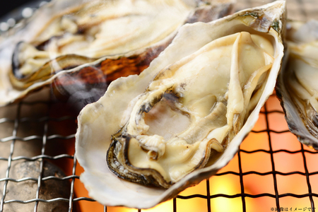 【期間限定発送】 殻付き牡蠣 生食可 生牡蠣 約2kg 8～10個前後 [北川水産 長崎県 平戸市 hr42bgy400230]