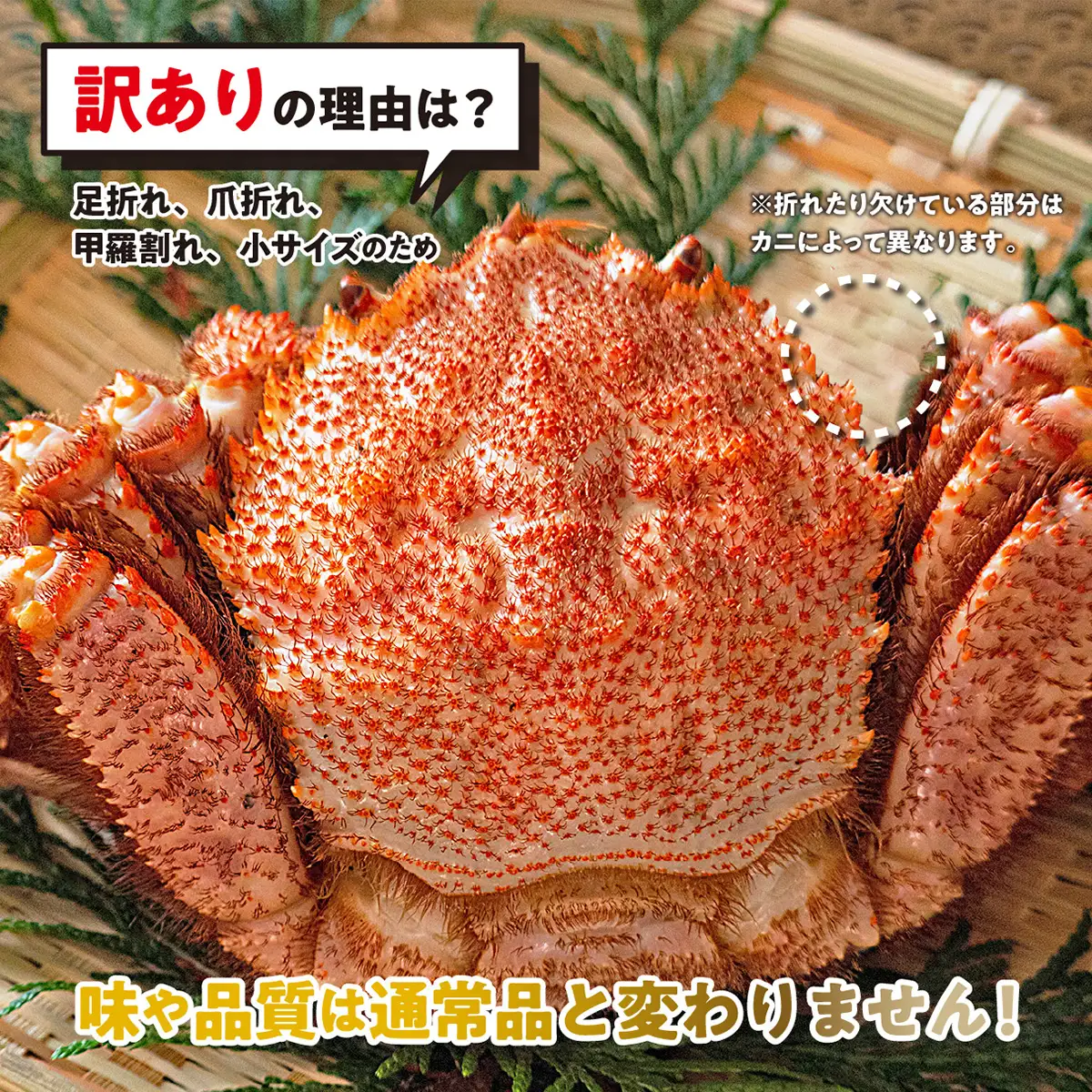 訳あり 北海道産 毛ガニ ＜ 冷凍 ＞ ボイル 約 1kg （ 2～4尾 ） 毛蟹 毛がに かに カニ 蟹 かに味噌 カニ味噌 海鮮 海産物 わけあり 訳アリ 冷凍便