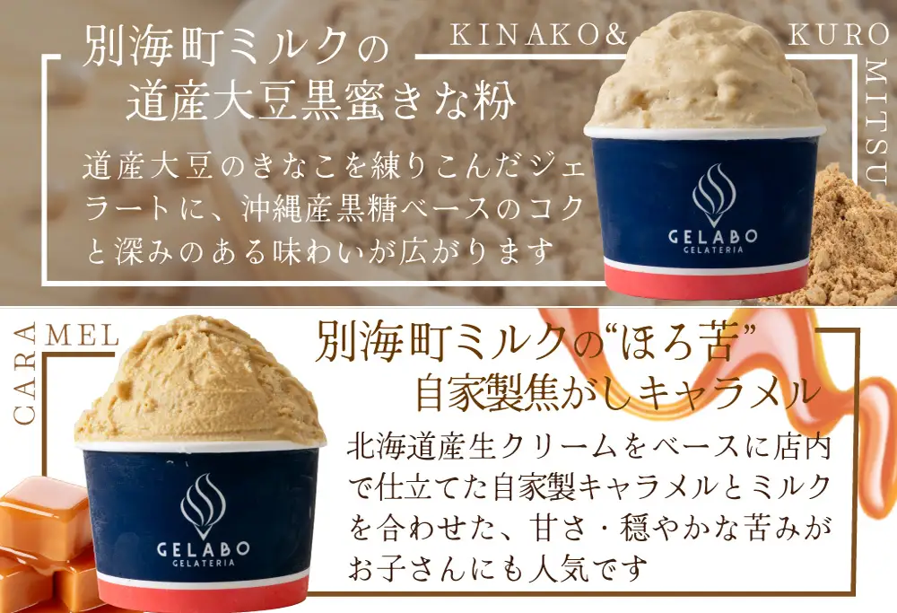 贅沢素材・10種のジェラート（ あいす アイス ジェラート 北海道 別海町 人気 ふるさと納税 ）【EK0000014】