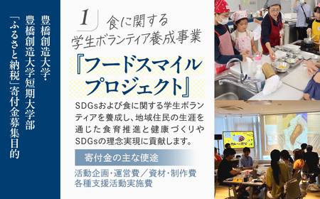 ≪返礼品無し≫【豊橋創造大学】豊橋市大学応援寄附 3000円 大学寄附 愛知県豊橋市への寄附 返礼品無し 寄附のみ 豊橋市 穂の国 東三河 3000円 ポッキリ 愛知県 豊橋市