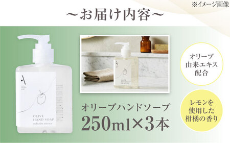 オリーブハンドソープ【AKI no SHIMA no MI】250ml×3本 美容 ボディケア ハンドケア 江田島市/リベラグループ[XAJ114]