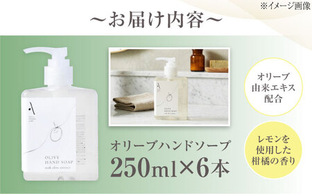 オリーブハンドソープ【AKI no SHIMA no MI】250ml×6本 美容 ボディケア ハンドケア 江田島市/リベラグループ[XAJ115]
