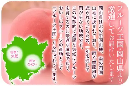 【ふるなびWEEK対象】清水白桃 750g