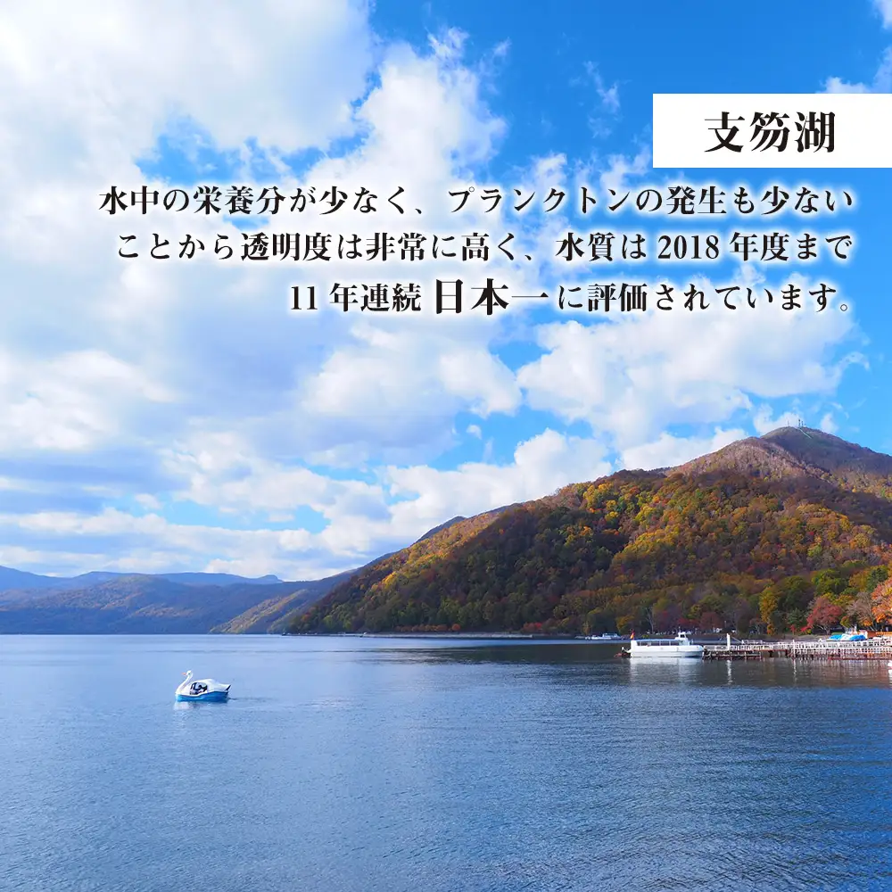 北海道 千歳市☆応援寄付金☆【返礼品なし】50,000円