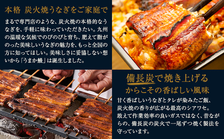 【ふるなびWEEK対象】 うなぎ 2尾 + 刻みうなぎ1袋
