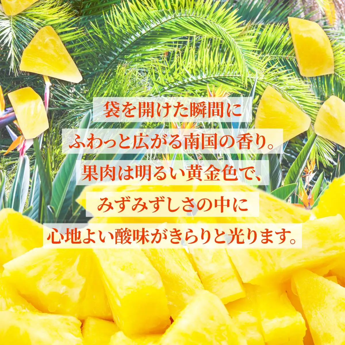 ＜先行予約＞ 石垣島産 冷凍カットパイナップル 200g×5袋 計1kg 