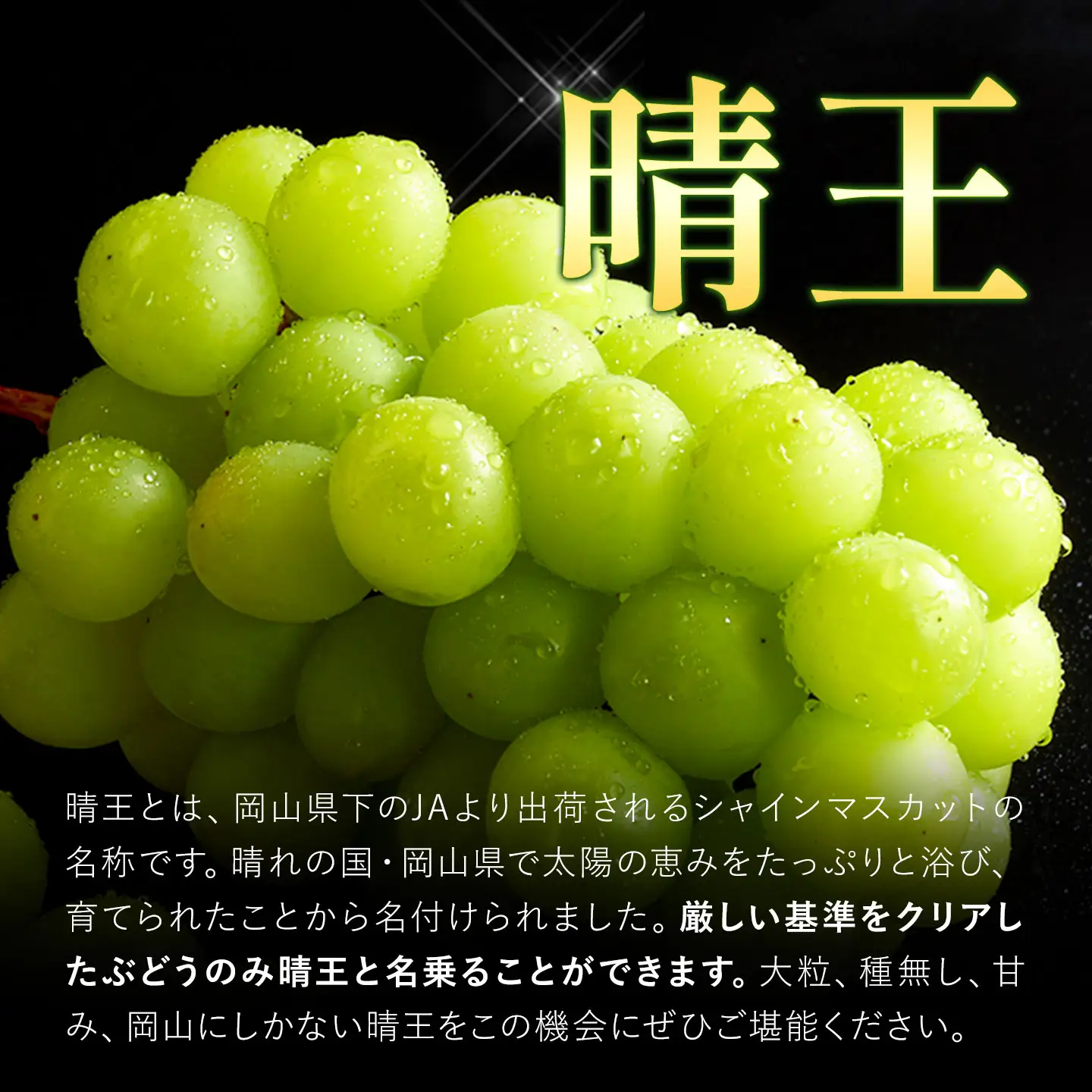 【ふるなびWEEK対象】岡山ブランドフルーツ定期便 清水白桃＆晴王