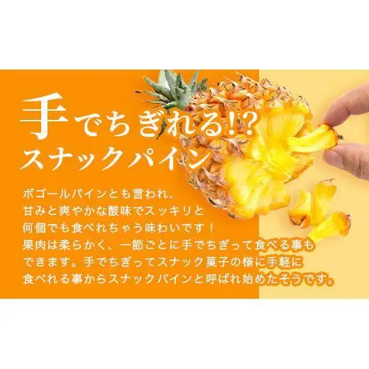 石垣島産 完熟 スナックパイン 2玉 約1.4kg 