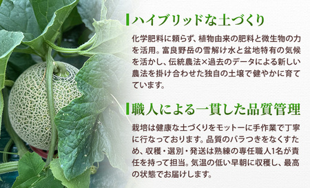 ＜2026年発送＞富良野メロン (赤肉) 秀品 ティアラ 約1.6kg/2玉 [ メロン フルーツ 果物 北海道 富良野 ]