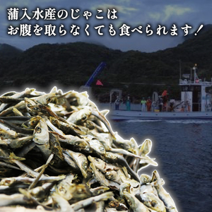 【 無添加 】 煮干し 2kg 専用箱入り 新鮮 じゃこ いりこ