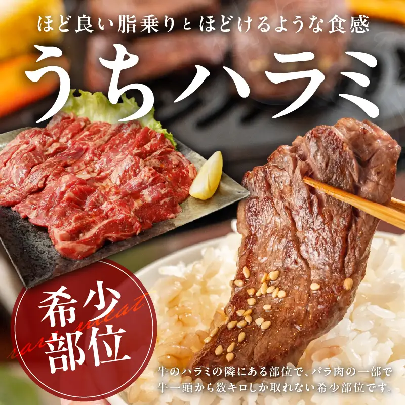【氷温熟成】希少部位セット　牛うちハラミ800g＆国産鶏とろ（肩肉）1.5kg