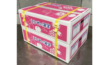 【2026年先行予約】 愛果28号 約3.3kg×2箱 ご家庭用 みかん 紅まどんなと同品種 柑橘 愛媛 【2026年11月下旬から順次発送予定】 数量限定 人気 伊予市｜C139