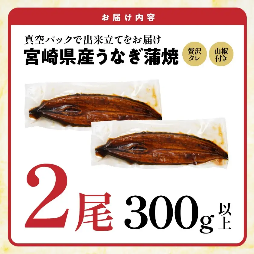 【お中元】宮崎県育ちのうなぎ蒲焼2尾300g以上≪山椒・たれ付≫〔13-M301-SG〕