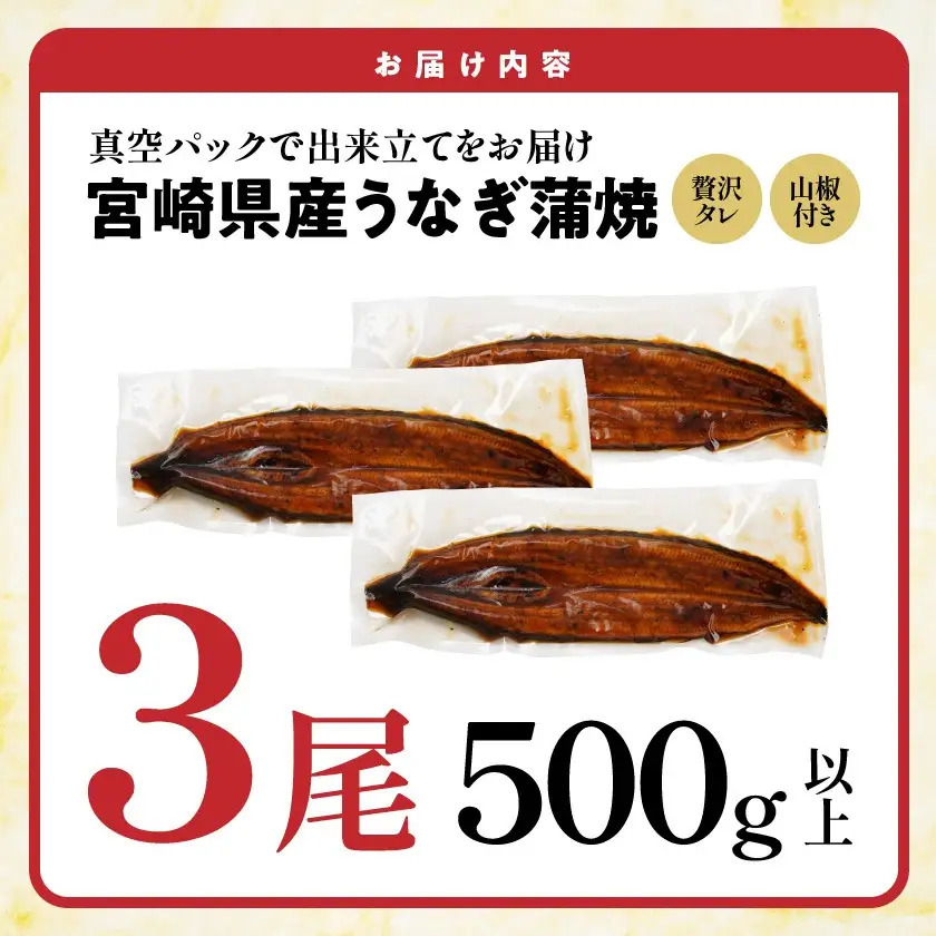 【お中元】宮崎県育ちのうなぎ蒲焼3尾500g以上≪山椒・たれ付≫〔AC-M301-SG〕