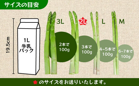 【先行予約】モーモーアスパラ 夏芽 2L 1.2kg（6月上旬から順次発送） 酪農 牧場 こだわり アスパラガス おすすめ 大分県　日田市 / 株式会社本川牧場[ARAI039]