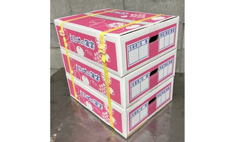 【2026年先行予約】 愛果28号 約3.3kg×3箱 ご家庭用 みかん 紅まどんなと同品種 柑橘 愛媛 【2026年11月下旬から順次発送予定】 数量限定 人気 伊予市｜D61