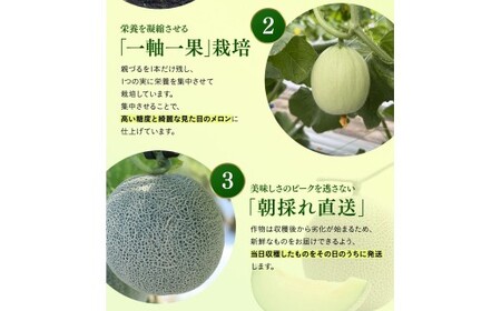 【2026年先行予約】 岡山の アールスメロン1玉（1.5kg以上） ※7月末より順次発送 真庭市 【mnem001-01】