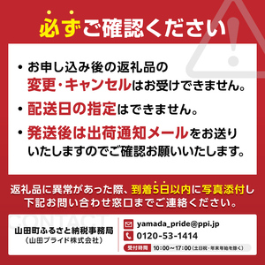 【無添加】国産 真ホッケ 大サイズ×２枚 肉厚 冷凍 ほっけ 干物 北海道産 一夜干し 魚 魚介 つまみ 肴 厳選 つまみ 岩手県 三陸山田 山田町 三陸 大和水産 YD-1077