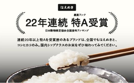 はえぬき 精米 5kg 7月中旬~7月下旬発送 国産 お米 山形県産 山形産  おすすめ 5kg 5キロ 5きろ 令和7年産 2025年産 沖縄・離島への配送不可 コメ こめ はくまい 白米米 tf-hasxb5-7s