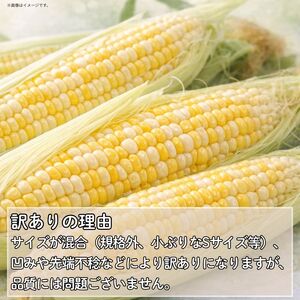 訳あり とうもろこし 甘々娘 約4kg サイズ不揃い 《 2026年6月発送 》