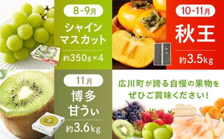 【7回定期便】フルーツ定期便（あまおう/びわ/桃/ぶどう/シャインマスカット/柿/キウイ） 広川町 / JAふくおか八女農産物直売所どろや[AFAB093]