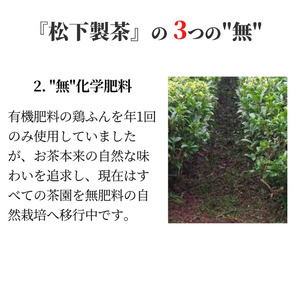 ＼ R8年産 出荷中／ 【たねがしまる4000】種子島 有機 粉末 緑茶 １袋   NFN950【100pt】 // オーガニック フンマツ ふんまつ 一番茶 パウダー 新茶